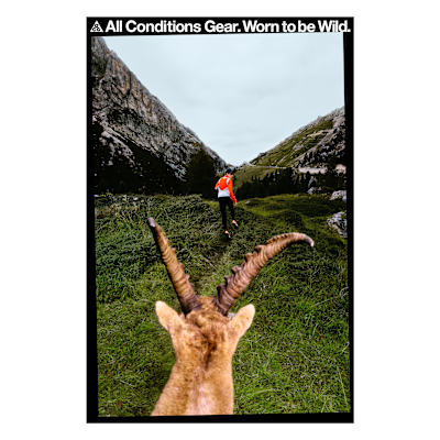 Nike DNA “Worn to be Wild” Poster 22